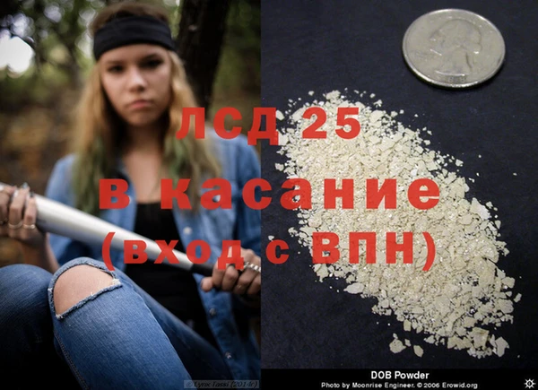 круглые Корсаков