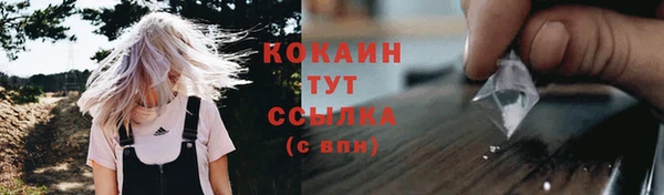 круглые Корсаков