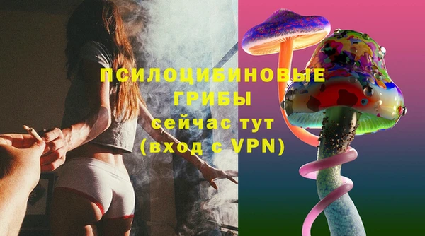 дурь Коряжма