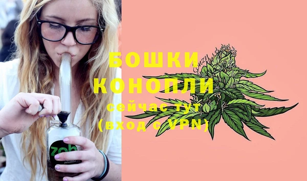 дурь Коряжма