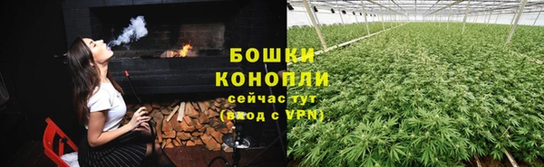 круглые Корсаков