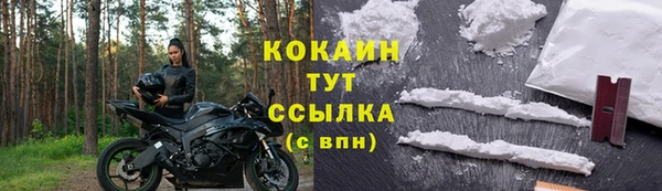 круглые Корсаков