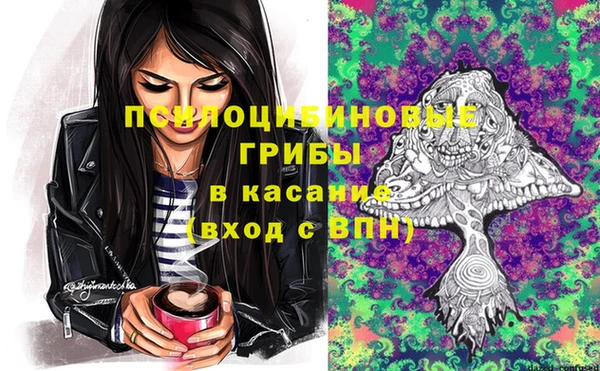 круглые Корсаков