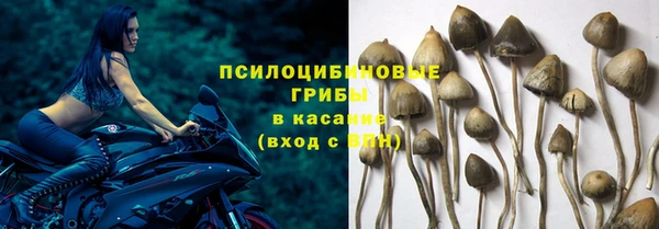 круглые Корсаков