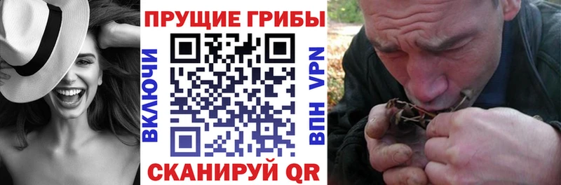 Купить  Юрга  Галлюциногенные грибы Magic Shrooms 